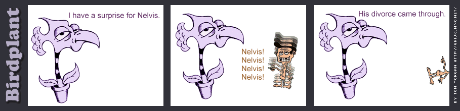 strip 1