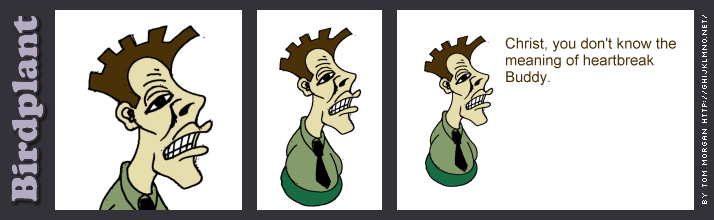 strip 1