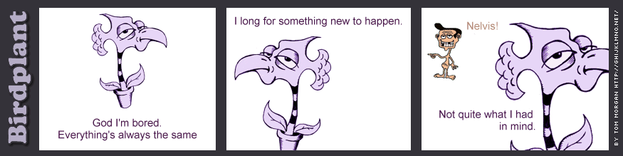 strip 1