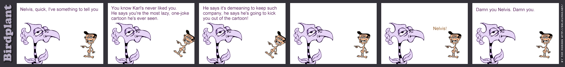 strip 1